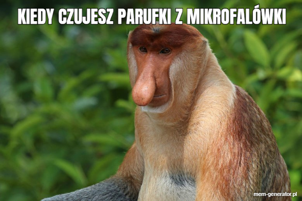 KIEDY CZUJESZ PARUFKI Z MIKROFALOWKI